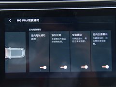 2020款 260TGI 自动Trophy Plus L2+