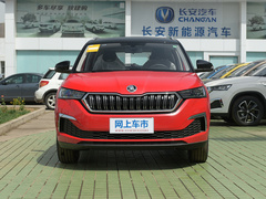 2020款 GT TSI230 DSG旗舰版 国VI