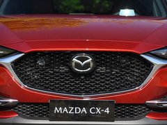 2020款 2.0L 自动两驱蓝天青春版