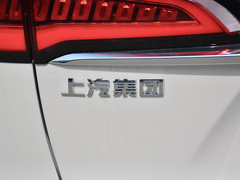 2019款 300TGI 自动智能座舱豪华版