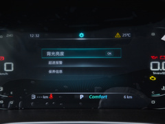 2019款 300TGI 自动智能座舱豪华版