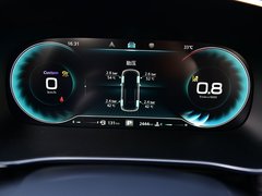 2019款 300TGI 自动4G互联豪华版