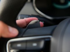 2019款 300TGI 自动4G互联豪华版