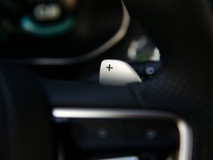 2019款 300TGI 自动4G互联豪华版