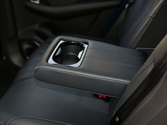 2019款 300TGI 自动4G互联豪华版