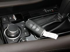 2020款 2.5L 蓝天尊崇版