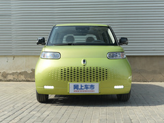 2020款 401km 旗舰型