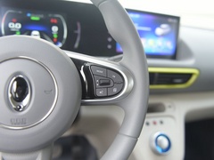 2020款 401km 旗舰型