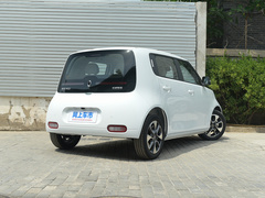 2020款 401km 旗舰型