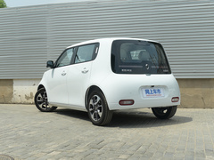2020款 401km 旗舰型