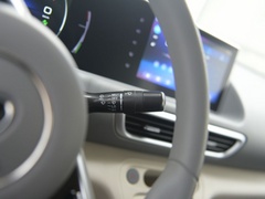 2020款 401km 旗舰型