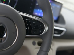 2020款 401km 旗舰型