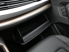 2020款 1.5GDIT 自动铂金冠军版