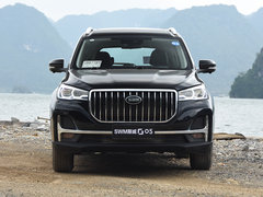 2019款 1.5T 自动尊贵型