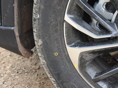 2019款 1.5T 自动尊贵型