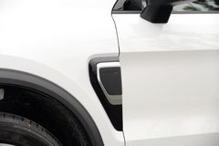 2019款 1.5T PHEV Pro