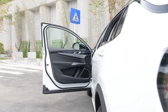 2019款 1.5T PHEV Pro