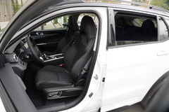 2019款 1.5T PHEV Pro