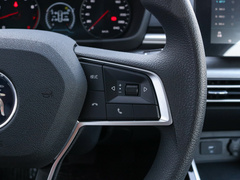2019款 1.5L 自动豪华型