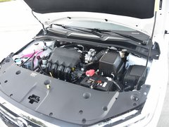 2019款 1.5L 自动尊贵型