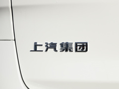 2020款 2.0T 自动智尊版国VI