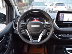 2020款 2.0T 自动智尊版国VI