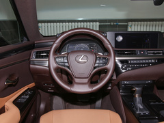 2020款 300h 卓越版