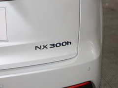 2020款 300h 全驱 锋致版 国VI