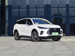 2020款 DM 2.0T 双擎四驱尊贵型 7座 国VI