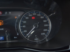 2020款 390T 尊贵版