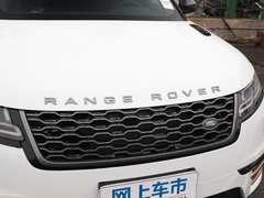2020款 P250 R-DYNAMIC S