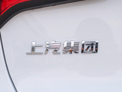 2020款 1.5L 手动4G互联领豪旗舰版