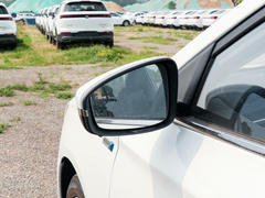 2020款 1.5L 自动4G互联领豪旗舰版