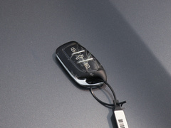 2020款 1.5L 自动4G互联领豪旗舰版