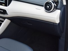 2020款 eHS 1.5T e-Plus