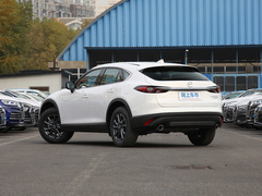 2020款 2.0L 自动两驱蓝天活力版
