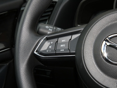 2020款 2.0L 自动两驱蓝天活力版