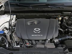 2020款 2.0L 自动两驱蓝天活力版