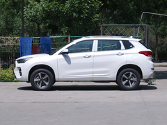 2020款 智联版 1.5T 手动两驱都市型