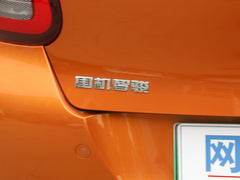 2020款 智趣 450P（四座）
