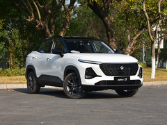 2020款 1.5L CVT  24小时在线豪华型