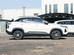 2020款 1.5L 手动24小时在线精英型