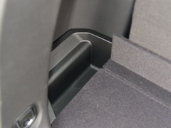 2020款 RS 650T Twin-Clutch四驱7座擎版
