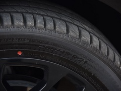 2020款 RS 650T Twin-Clutch四驱7座擎版