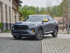 2020款 2.0T 四驱性能版