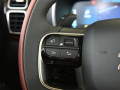 2020款 1.6T 四驱插混悦享型
免税
