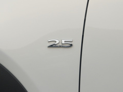 2020款 2.5L 自动四驱蓝天激情版