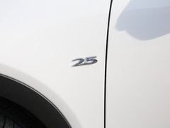 2020款  2.5L 自动四驱蓝天无畏版