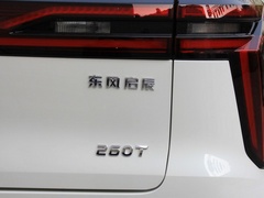 2020款 260T 自动48V轻混增压 星睿版