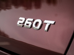 2020款 260T 自动48V轻混增压 星曜版
